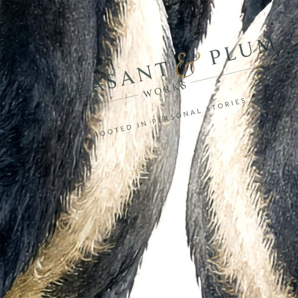 Personalised Belted Galloway Cow Print