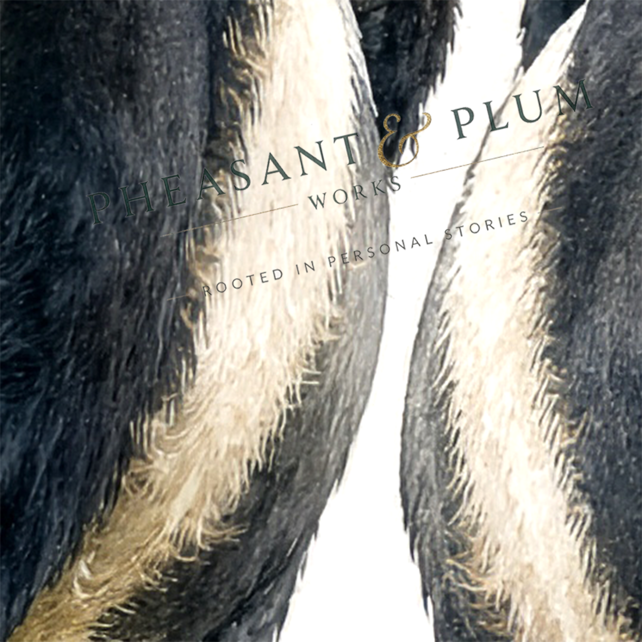 Personalised Belted Galloway Cow Print